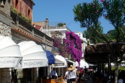 From Naples: Capri and Anacapri Small Group Tour + Ferry
