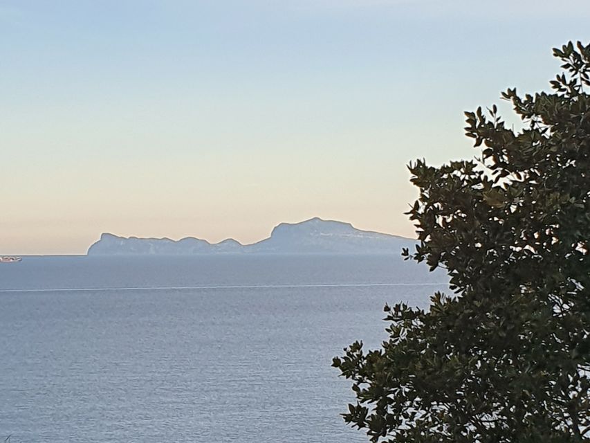 From Naples: Capri Day Trip with Lunch - Why Capri works best as a long day from Naples