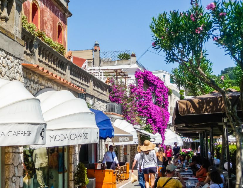 From Naples: Capri Guided Tour with Ferry Tickets & Minibus - The Gardens of Augustus and the Faraglioni view