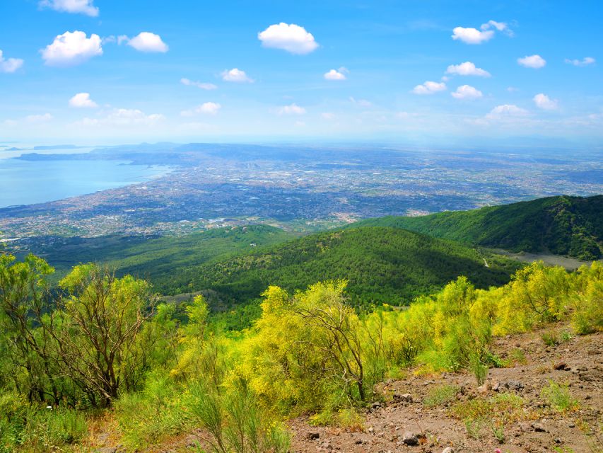 From Naples: Mount Vesuvius and Pompeii Ruins Combo Day Trip - Climbing Mount Vesuvius at 1,000 meters
