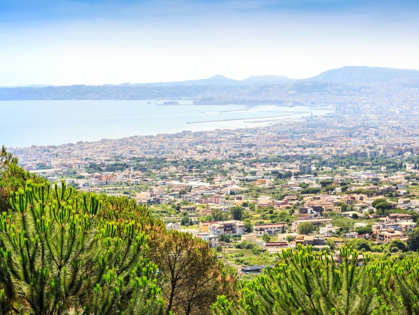 From Naples: Mount Vesuvius Transfer with Entry Tickets - Finding the Bus Near Garibaldi Square