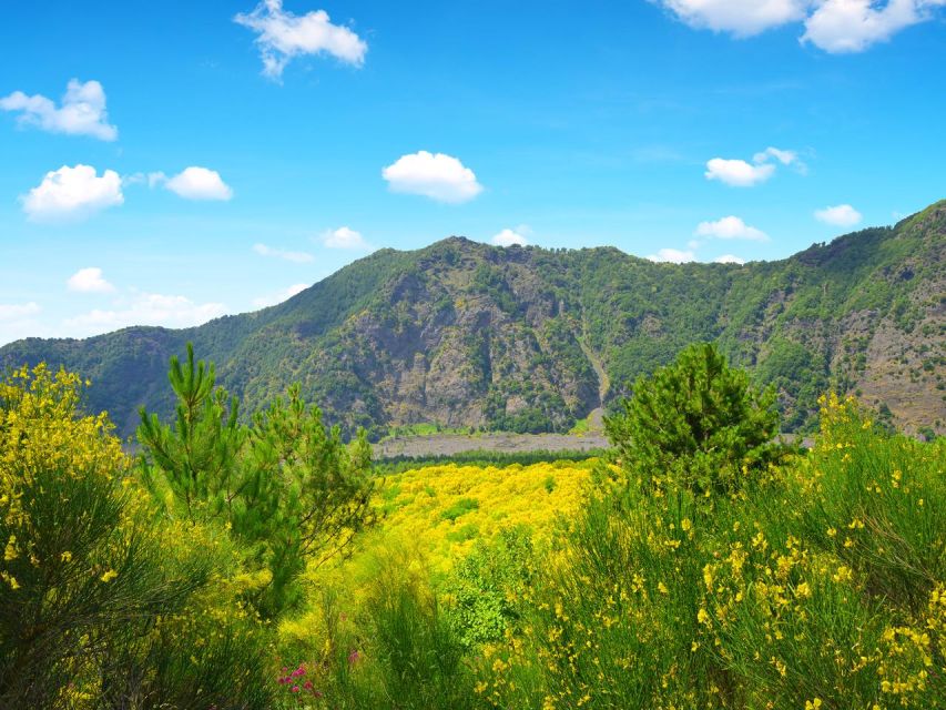 From Naples: Mount Vesuvius Transfer with Entry Tickets - Choosing Between Free Time and a Park Guide