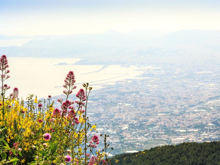 From Naples: Mount Vesuvius Transfer with Entry Tickets - Who Will Enjoy This Vesuvius Transfer?