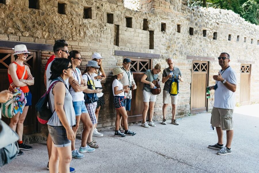 From Naples: Pompeii Ruins & Mount Vesuvius Day Tour - Why pairing Pompeii with Vesuvius works