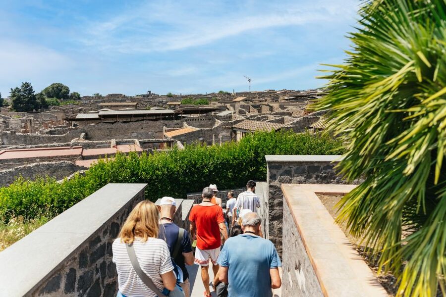 From Naples: Pompeii Ruins & Mount Vesuvius Day Tour - Time, pace, and the true value of $120.84