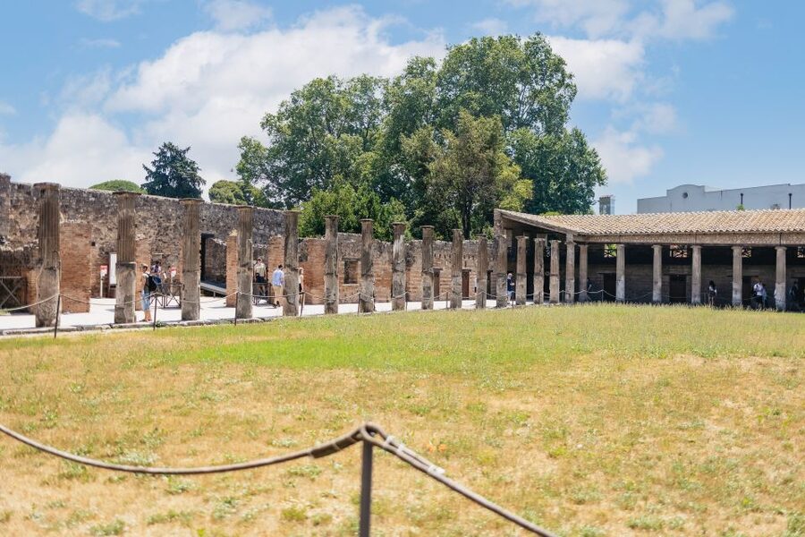 From Naples: Pompeii Ruins & Mount Vesuvius Day Tour - Who will enjoy this day most
