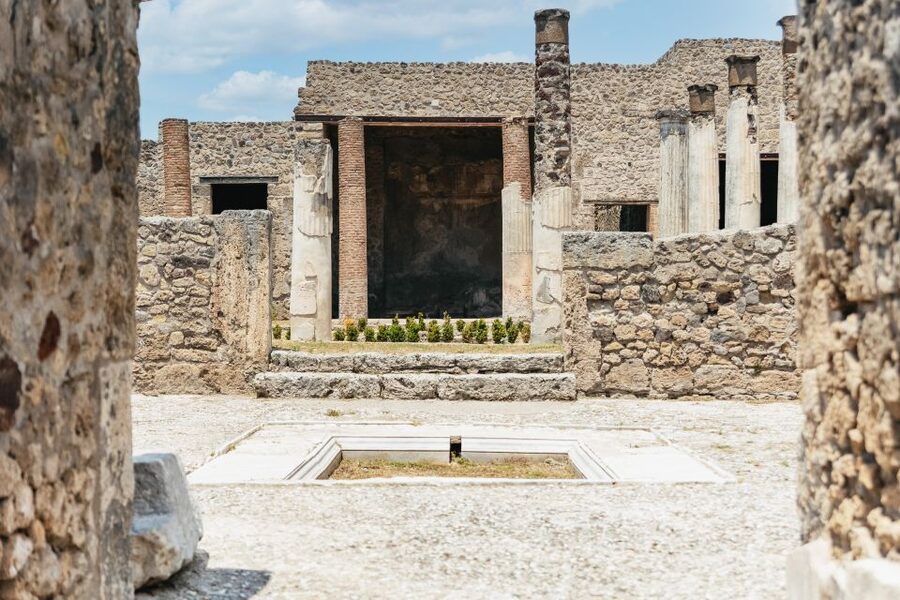 From Naples: Pompeii Ruins & Mount Vesuvius Day Tour - Practical advice for a smoother day