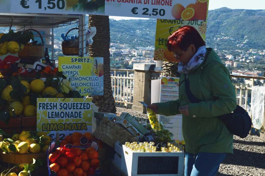 From Naples/Salerno: Group Tour to Positano, Amalfi, Ravello - The driver-host can shape the whole day