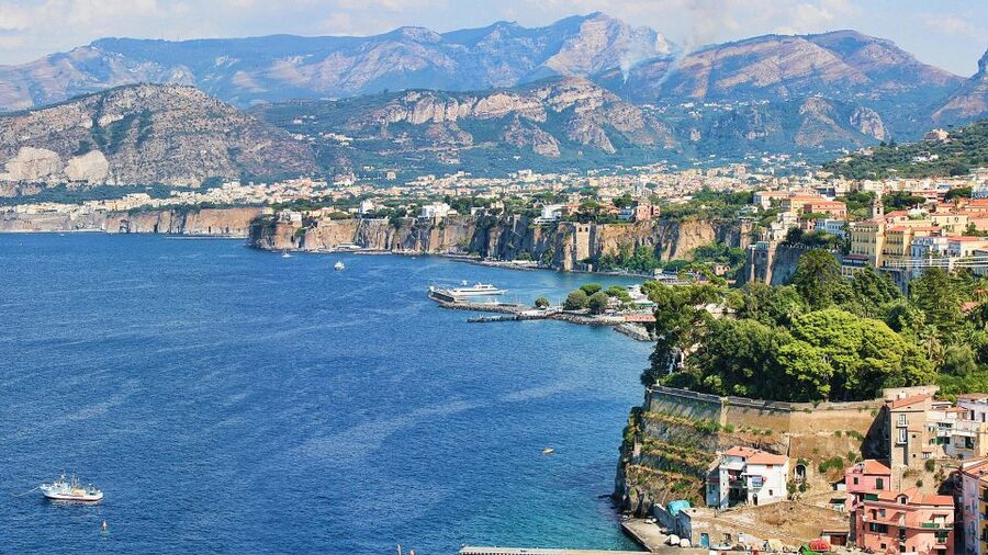 From Naples: Sorrento and Amalfi Coast Shared Day Trip - The van, driver, and group size