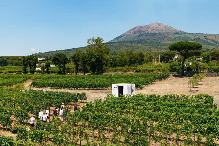 From Naples: Wine Tasting Tour on Vesuvius Slopes with Lunch - The drive adds a useful Naples introduction