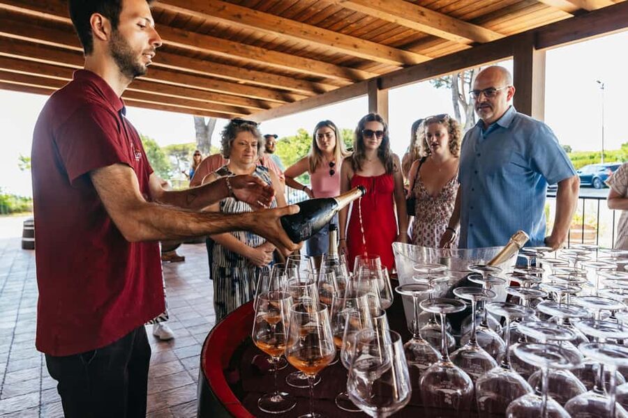 From Naples: Wine Tasting Tour on Vesuvius Slopes with Lunch - Walking the vineyard on Vesuvius