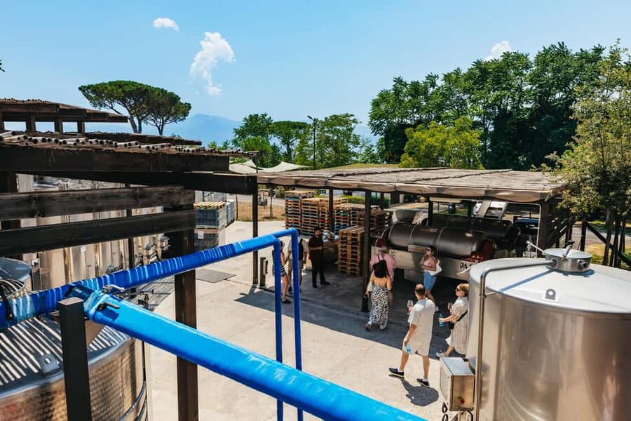 From Naples: Wine Tasting Tour on Vesuvius Slopes with Lunch - The three-course lunch is the heart of the tour