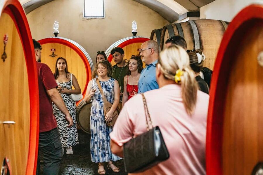 From Naples: Wine Tasting Tour on Vesuvius Slopes with Lunch - Who should book this Vesuvius wine tour?