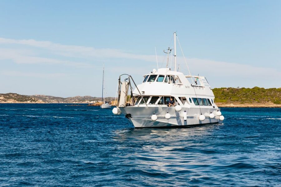 From Palau: La Maddalena Islands Full-Day Trip by Boat - Should you book the Sea Star?