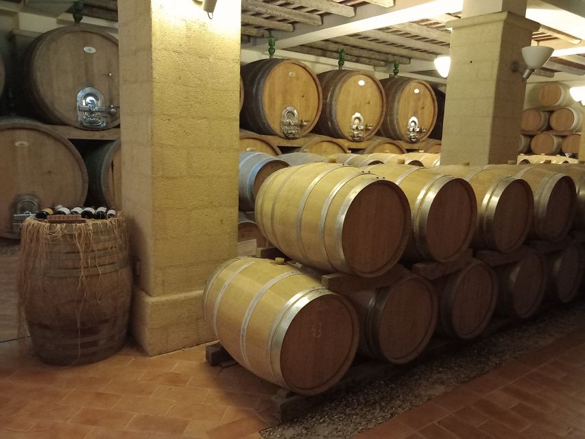 From Palermo: Erice and Marsala Day Trip with Lunch - What the minivan ride means for your day