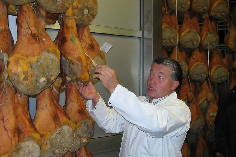 From Parma: Parmesan, Parma Ham & Balsamic Vinegar Tour - Price, pace, and who should book