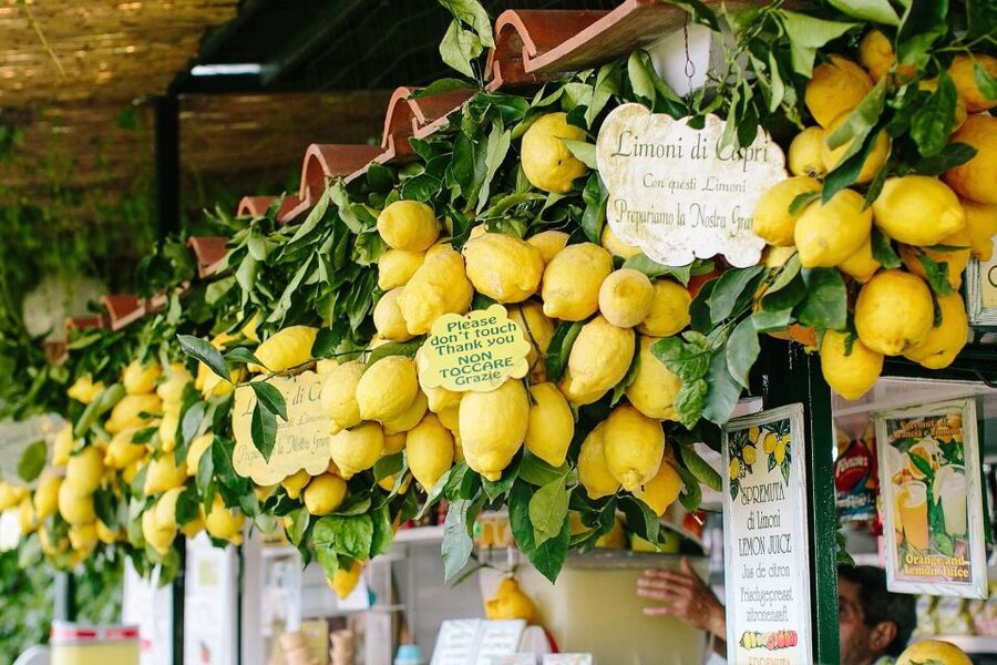 From Positano: Sorrento Coast & Capri Full-Day Trip by Boat - Practical advice for a smoother day