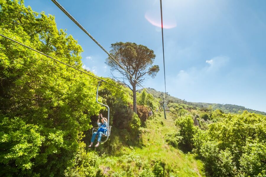 From Rome: Capri Guided Day Trip with Blue Grotto - Lunch, shopping, and the cost of a short visit