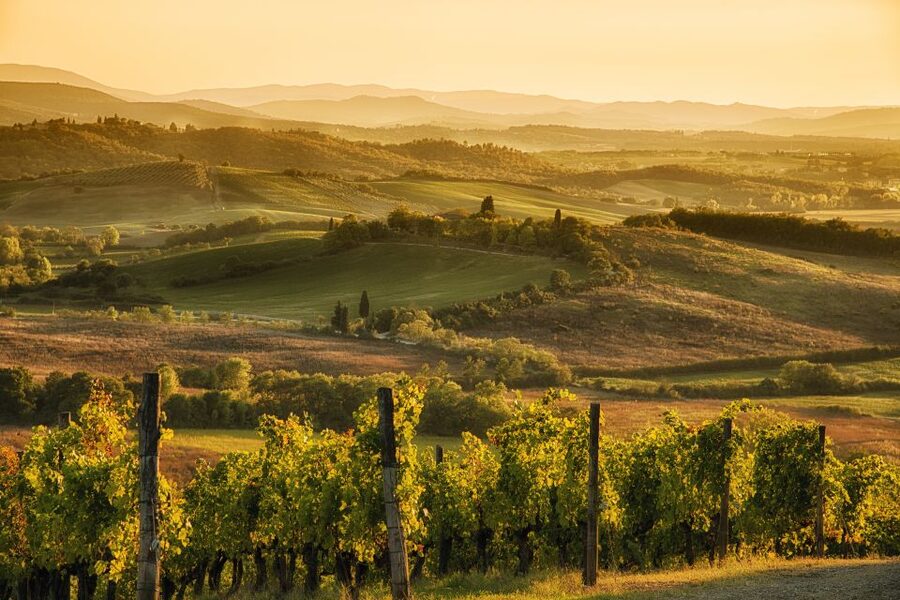 From Rome: Discover Florence and Pisa in a Full-Day Tour - Pickup in Rome and the long ride north