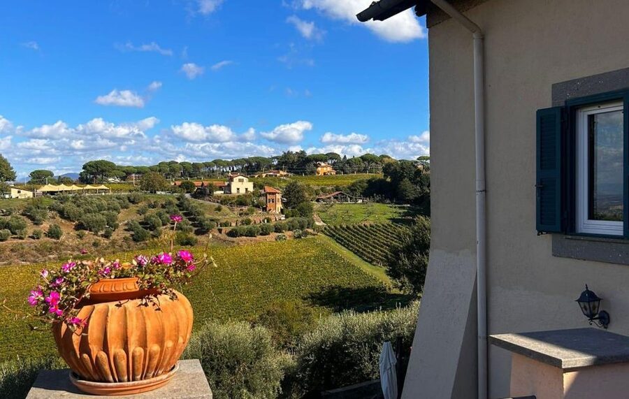 From Rome: Half-Day Frascati Wine Tour with Farmhouse Lunch - Should you book the Frascati wine tour?