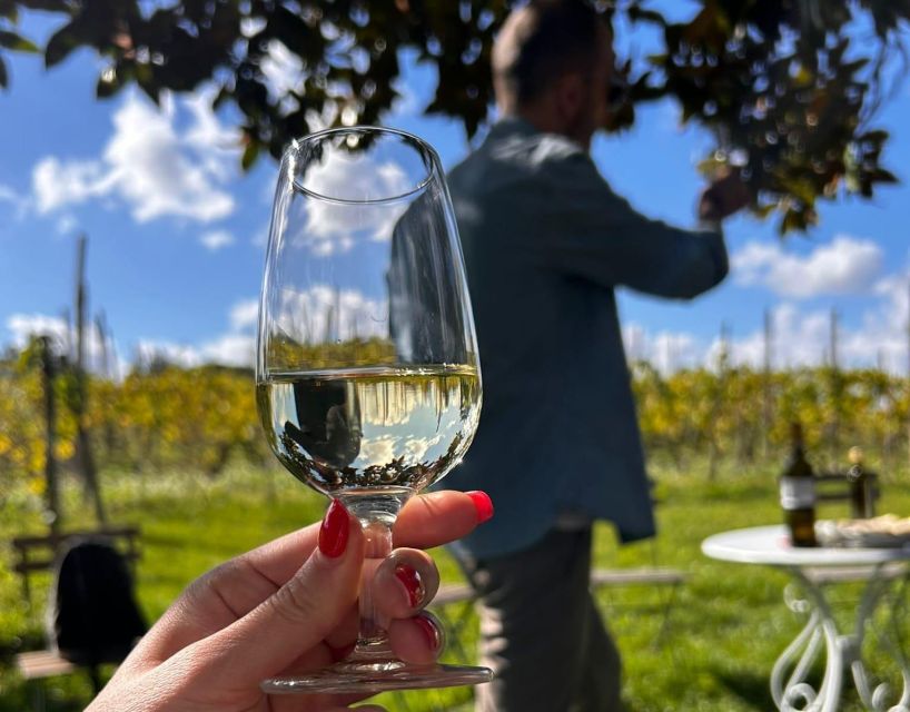 From Rome: Half-Day Frascati Wine Tour with Farmhouse Lunch - Who should book this half-day trip?