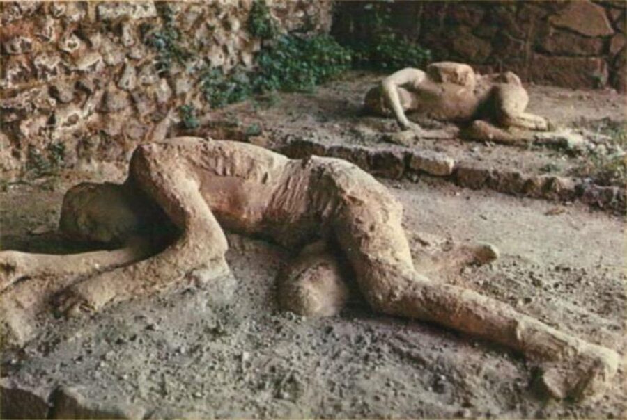 From Rome: Pompeii All-Inclusive Tour with Live Guide - The return to Rome