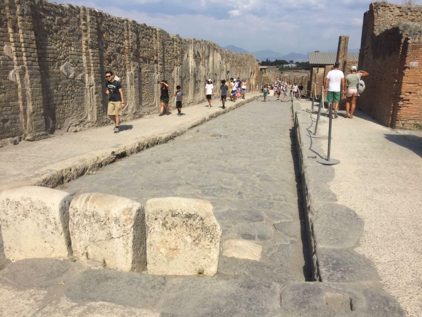 From Rome: Pompeii All-Inclusive Tour with Live Guide - Who will enjoy this Pompeii tour