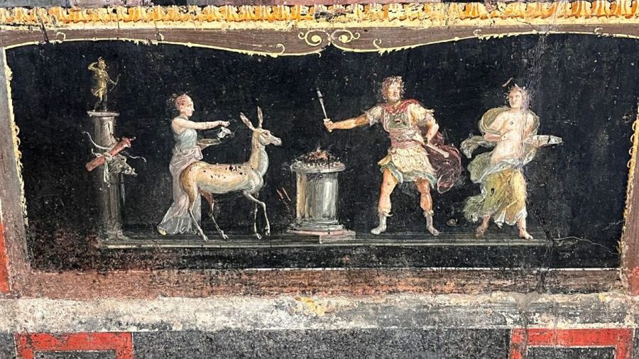 From Rome: Pompeii and Naples Day Trip by High-Speed Train - Returning to Rome by high-speed train