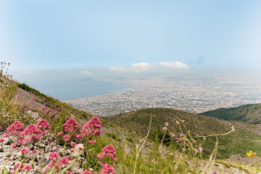 From Rome: Pompeii Day Trip with Optional Vesuvius and Lunch - Choosing your Vesuvius experience