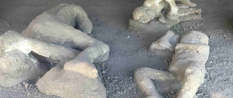 From Rome: Pompeii, Positano and Amalfi Full-Day Tour - Guides, drivers, and the small-group feel