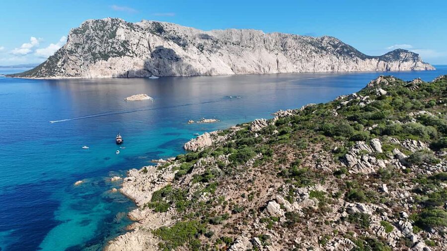 From San Teodoro: Tavolara Archipelago Grand Tour - How much value do you get for $84.96?