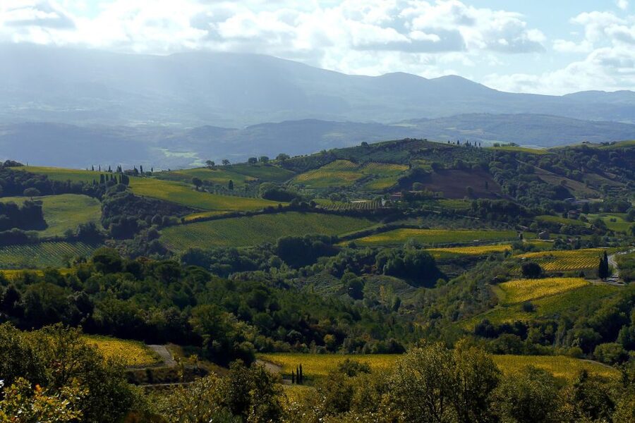 From Siena: Brunello di Montalcino Guided Wine Tour W/ Lunch - Montalcino town and the medieval fortress