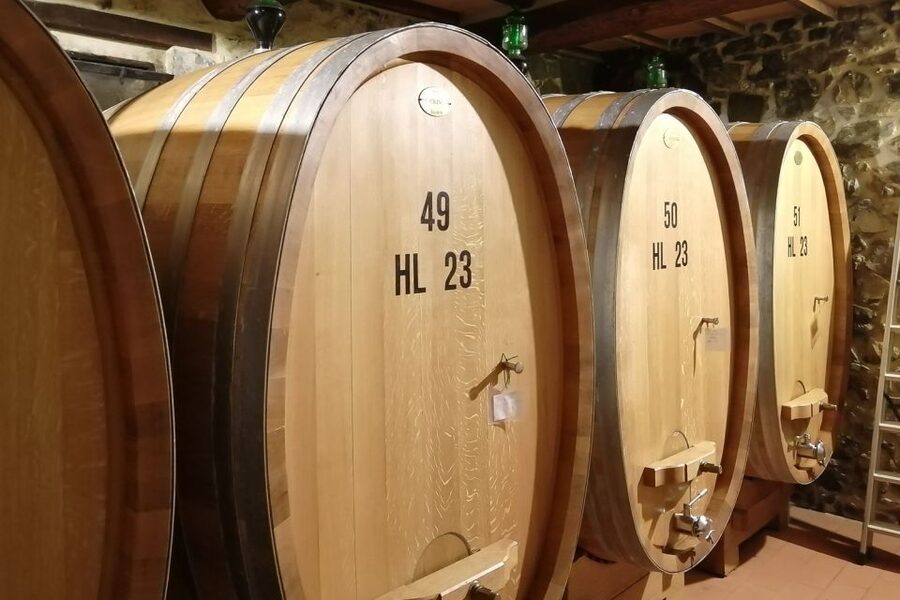 From Siena: Brunello di Montalcino Guided Wine Tour W/ Lunch - Sant’Antimo Abbey, a quiet change of mood