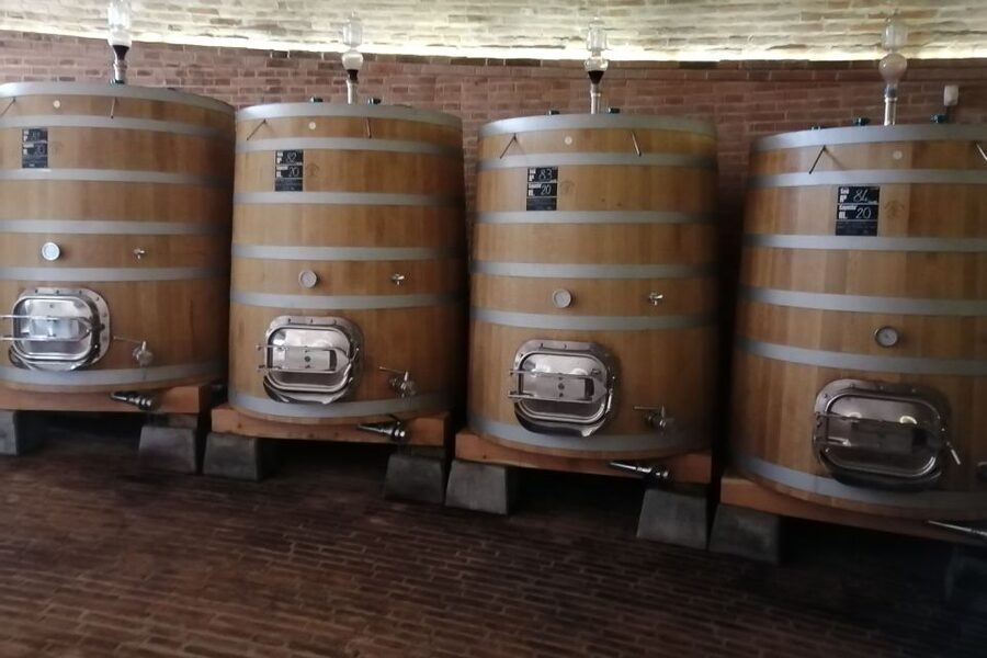 From Siena: Brunello di Montalcino Guided Wine Tour W/ Lunch - The guides make a real difference