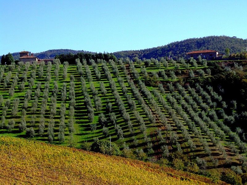 From Siena: Chianti and Castles Tour with Wine Tastings - The second winery, usually quieter and more personal