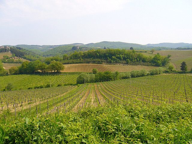 From Siena: Chianti and Castles Tour with Wine Tastings - Why the small van changes the experience