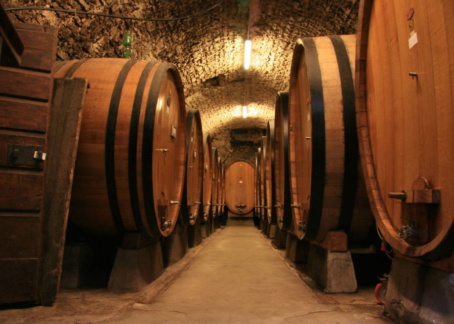 From Siena: Chianti and Castles Tour with Wine Tastings - Who will enjoy this Chianti outing most