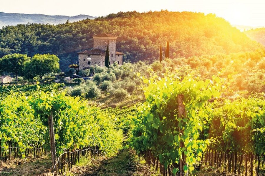 From Siena: Chianti and Castles Tour with Wine Tastings - Is $100 a fair price?