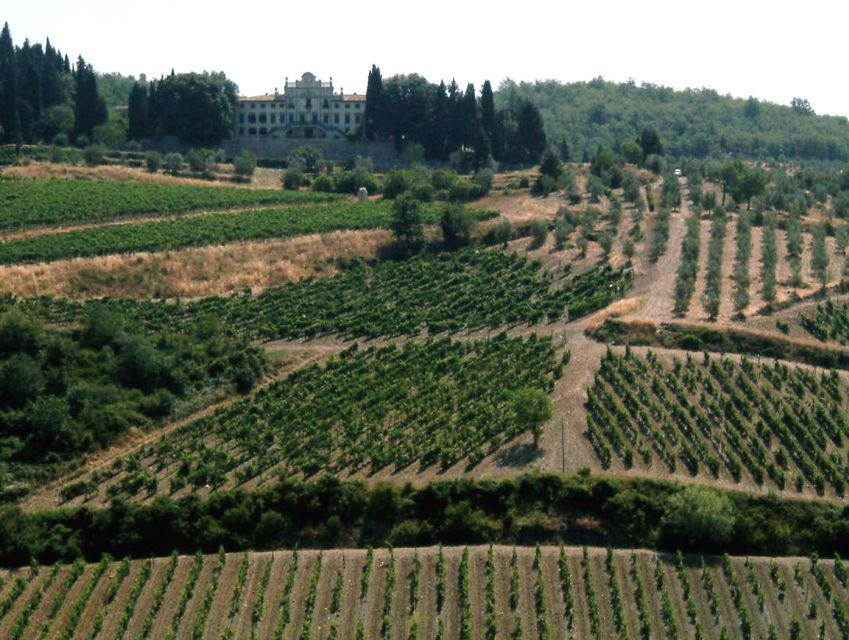 From Siena: Chianti and Castles Tour with Wine Tastings - The first winery and the pleasure of a generous tasting