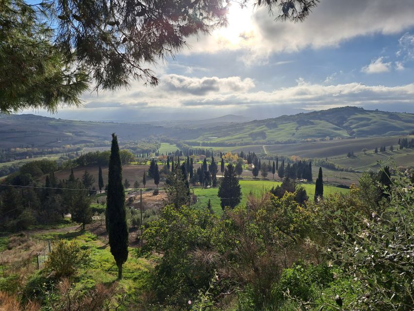 From Siena: Pienza and Montepulciano Small-Group Tour - Why this Siena day trip works so well