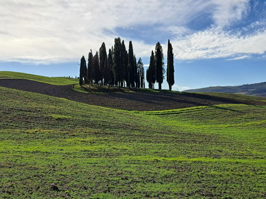 From Siena: Pienza and Montepulciano Small-Group Tour - Final verdict: a strong full-day choice from Siena