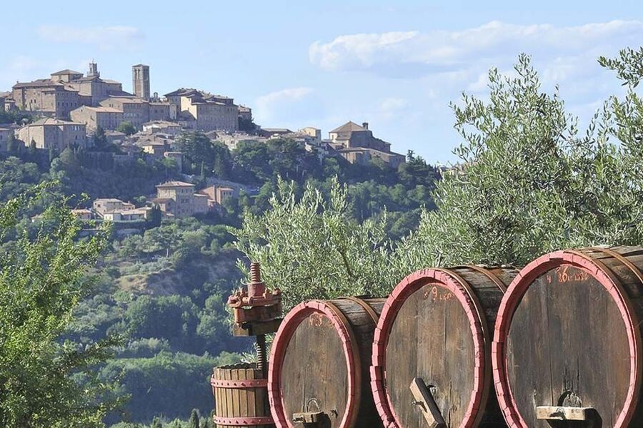 From Siena: Tuscany Hills Wine Tour - Montepulciano, steep streets and Nobile wine