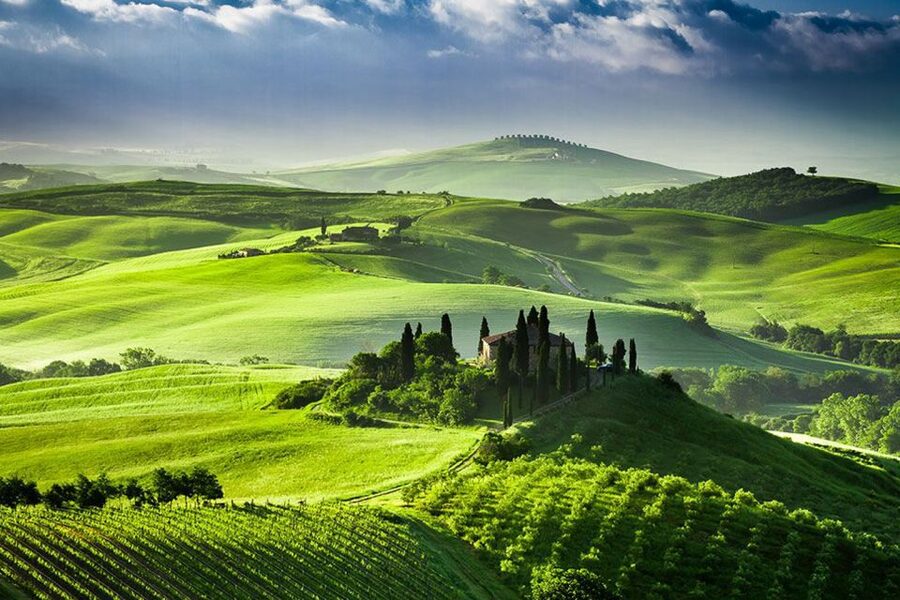 From Siena: Tuscany Hills Wine Tour - The second winery and the day’s best comparison