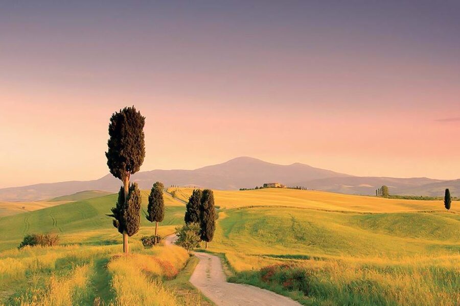 From Siena: Tuscany Hills Wine Tour - The return to Siena