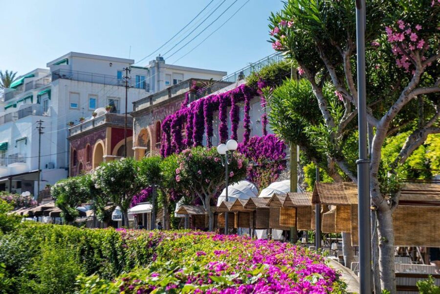 From Sorrento: Capri, Anacapri, & Blue Grotto Full-Day Trip - Why the guide matters on a crowded island