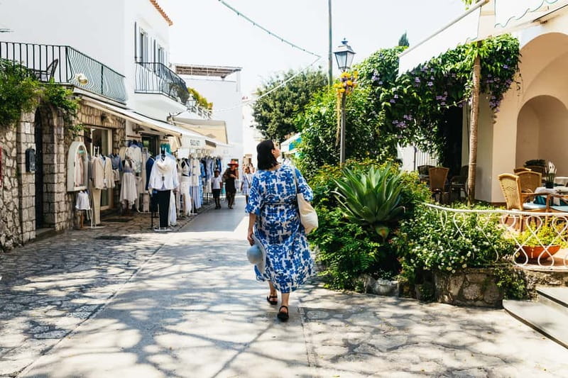 From Sorrento/Nerano: Capri Island Cruise with Guide Onboard - Crowds, weather, and what to bring
