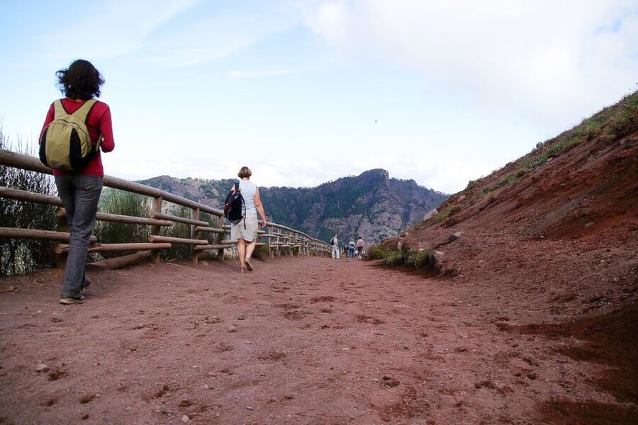 From Sorrento: Pompeii and Vesuvius Tour - Should you book the Pompeii and Vesuvius day trip?