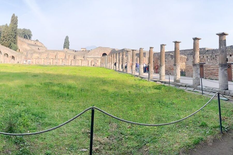 From Sorrento: Pompeii and Vesuvius Tour - Who will enjoy this tour most?