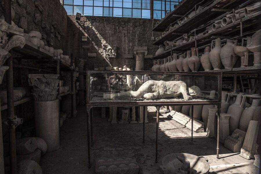From Sorrento: Pompeii Half-Day Skip-the-Line Tour - Should you book this Pompeii tour from Sorrento?