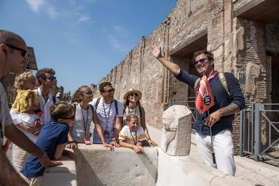 From Sorrento: Pompeii Half-Day Skip-the-Line Tour - Who will enjoy this half-day format